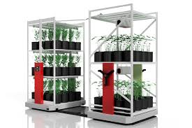 Cloning may be your only option for obtaining a certain variety of plant when no seeds are available. Cannabis Vertical Growing Systems For Cloning Stages Montel Inc