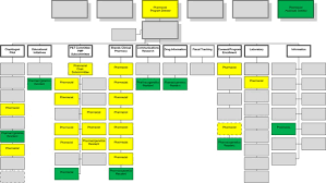 Pharmacists Roles In The Clinical Implementation Of