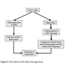 Flowchart Of The Data Management Download Scientific Diagram
