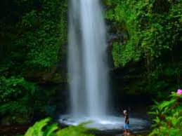 Tan menjelaskan setidaknya ada dua jenis cahaya matahari yang dibutuhkan dan tidak dibutuhkan oleh manusia, yaitu ultraviolet a dan ultraviolet b. Sejuknya Air Di Coban Siuk Malang Amazing Malang