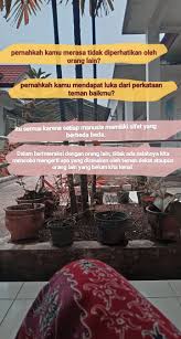 Pin Oleh Rn Di Kuwot Di 2020 Teman Baik Teman Manusia