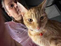 Is anyone missing these babies?