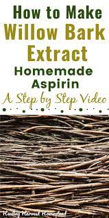How To Make Willow Bark Tincture Your Own Natural Aspirin In 2020 Herbs For Health Herbal Healing Herbalism