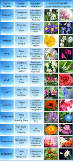 Birth Flower Chart By Earthandmoondesig Birth Flower Tattoos Birth Flowers Flower Chart