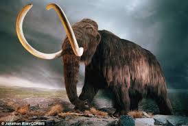 Prehistoric Animals Still Alive It Looks A Litle Something Like This A Replica Of A Woolly Mammoth On Wooly Mammoth Extinct Animals Prehistoric Animals