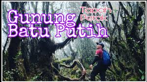 Apakah potensi kawasan tanah pamah di malaysia?i pertanianii perindustrianiii pelabuhan perikananiv menjana kuasa hidroelektrika i dan iib i dan ivc ii dan iiid iii dan iv. Gunung Batu Putih I Gunung Ke 8 Tertinggi Di Semenanjung Malaysia Youtube