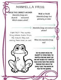 Frogs have large, muscular back legs that allow them to jump great. Amphibian Trivia By Starting Olson Teachers Pay Teachers