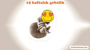 Burada önemli olan yiyeceklerin güneş alacak olan bir mekâna koyulmamasıdır. 19 Haftalik Gebelikte Bilmeniz Gerekenler Kadinlar Kulubu