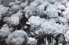 Maybe you would like to learn more about one of these? 650 Grey Ideas Favorite Color Grey Rainy Day