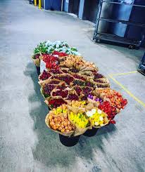 Maybe you would like to learn more about one of these? Holland Flowers Home Facebook