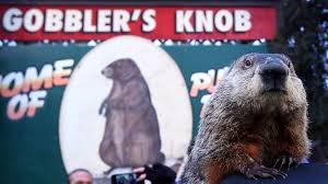 It speaks to the triumph of spring over winter—and birth over death. Groundhog Day 2017 Punxsutawney Phil Sees His Shadow The Two Way Npr