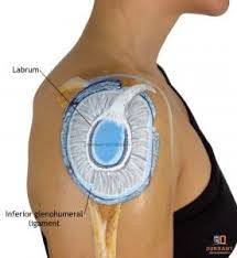 Image result for SLAP Lesion