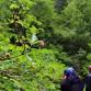 Burnaby Plant ID Workshop for Women's Health event image