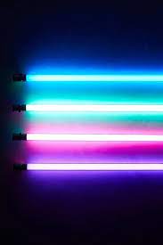 Pin On Light Up My Life
