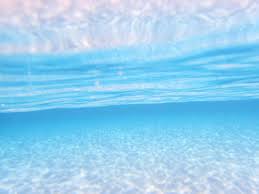 mai kakogawa on instagram この水色がドンピシャに好きu 加工なしでこの色 沈みたい sea skyblue underwater underwaterphoto island photo photo instagram posts instagram light