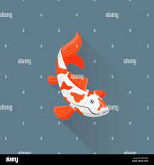 vector flat japanese koi fish illustration icon Stock Photo - Alamy