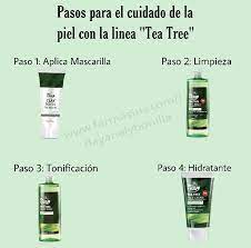 Linea Tea Tree Farmasi Tea Tree Cool Things To Make Beauty Influencer