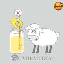 Kunci jawaban tebak gambar level 41 50 sangat valid dunia game. Kunci Jawaban Tebak Gambar Level 18 Nomor 1 20 Beserta Gambarnya Lengkap Cademedia