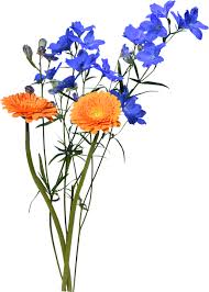 Pikbest ha trovato 1998062 mazzo di incenso modelli di immagini di design per usi commerciali personali. Fiori Mazzo Un Bouquet Di Foto Gratis Su Pixabay