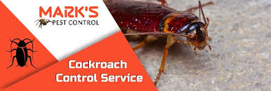 Cockroaches (otherwise known as 'roaches') are common insects, with around 4,600 species worldwide. What Are The Benefits Of Professional Cockroach Control Service