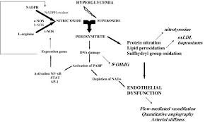 Gliclazide is a medicine used to treat diabetes and control blood sugar levels. Effects Of Gliclazide Beyond Metabolic Control Metabolism Clinical And Experimental