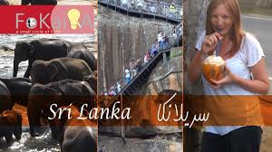 Mini Idea 173 Travel On A Budget Sri Lanka الفكيرة 173 السفر بأقل ال Travel Sri Lanka Small Circle