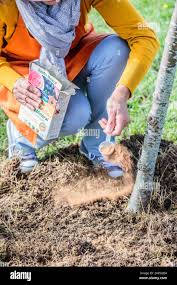 نتیجه جستجوی لغت [acidify] در گوگل