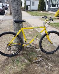 Image result for Yellow 1986 Fleet