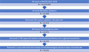 Conscious to deep sedation provided to patients undergoing therapeutic or diagnostic procedures that would otherwise be unacceptably uncomfortable or unsafe w/o the continuous vigilance of an anesthesia provider (starts with conscious sedation, but. Anesthetic Choice For Atrial Fibrillation Ablation A National Anesthesia Clinical Outcomes Registry Analysis Journal Of Cardiothoracic And Vascular Anesthesia