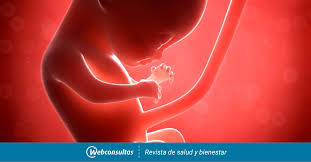 Semana 14 De Embarazo Cuarto Mes De Embarazo