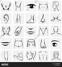 Erector pili and body hair. Male Body Parts Icons Vector Photo Free Trial Bigstock