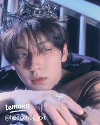 txtスビンの魅力と約束