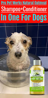 Dental and specialty services if you believe your pet is experiencing a medical emergency, please contact a local emergency veterinary hospital. Pro Pet Works Natural Oatmeal Shampoo Conditioner In One For Dogs Cats Dog Conditioner Dog Shampoo Oatmeal Dog Shampoo