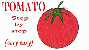 How To Draw A Tomato Step By Step Very Easy Drawing Art Video