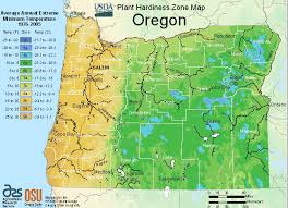 My neighbor had given me a gorgeous yellow and purple bouquet a few years ago and. Usda Oregon Growing Zone For Plants Map