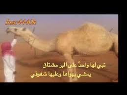 أبيات في اﻷبل Youtube