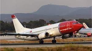 Fox News Emotional Support Dogs In Tutus Removed From Norwegian Air Flight After Showing Signs Of Distress Emotional Support Dog Support Dog Norwegian Air