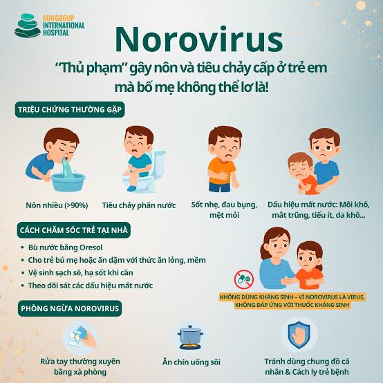 🦠 Norovirus – “Thủ phạm” gây nôn và tiêu chảy cấp ở trẻ em mà bố mẹ không  thể lơ là! 👩‍⚕️ Bài viết chuyên môn từ PGS.TS.BS Phạm Thu Hiền –