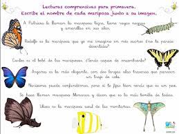 Pin En Comprension Lectora