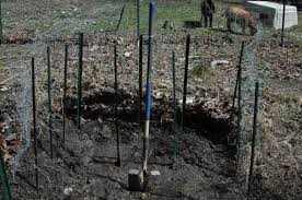 Use a perforated or mesh material, such as chicken wire ($12, the home depot), to create a compost basket. What Is Keyhole Garden The Benefits How To Plan And Build It