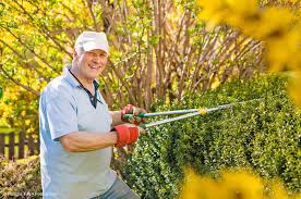 Wie Hoch Ist Der Stundenlohn Bei Der Gartenhilfe Need You Die Betreuerborse