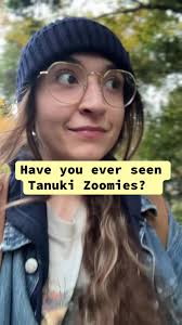 What The Tanuki Pet Do