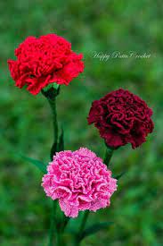 Crochet Carnation Pattern By Happy Patty Crochet Pattern For A Beautifully Delicate Carnation Flowe Crochet Flowers Carnation Flower Crochet Flower Patterns