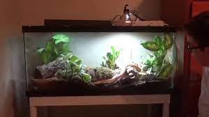 Self Cleaning Corn Snake Enclosure Snake Enclosure Corn Snake Snake Terrarium