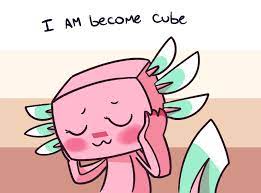 As stated prior, the axolotls come in pink, brown, gold, cyan and blue. Minecraft Axolotl Real Explore Tumblr Posts And Blogs Tumgir