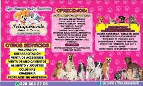 Spa Estetica Y Guarderia Canino Y Felino