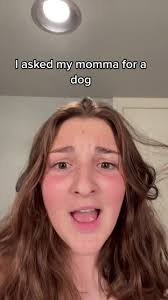 Brittany Spaniel Lab Mix