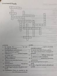 Browse crossword solutions from usa today. 6 A Physical Fitness Association Is Including The Chegg Com