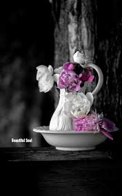 Black And White With Pop Of Color Art Australia Pin By Stacy On Assorted Flowers Color Splash Black White Pink Black And White Aesthetic