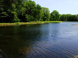 Big Foot Beach State Park 1452 S Wells St Lake Geneva Wisconsin 53147 Wisconsin State Parks Wisconsin Beaches State Parks